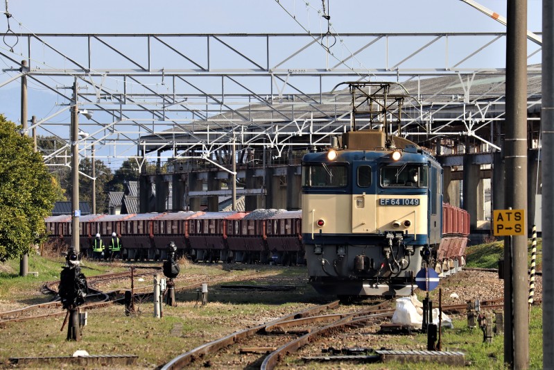 �T���v���摜